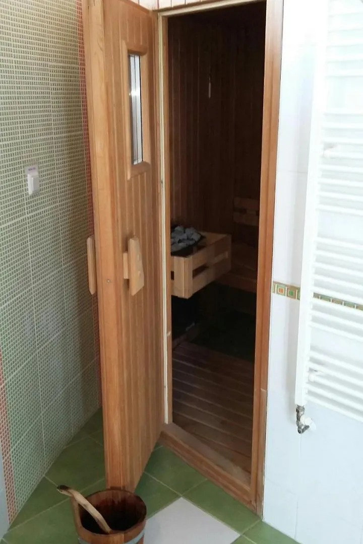 Penthouses Vinice Apartment Prague